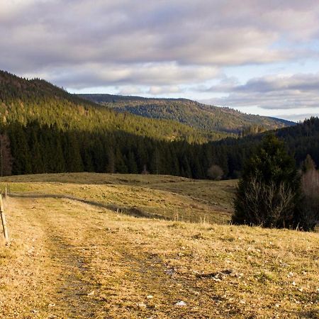 Gemuetliche Ferienwohnung - Mitten Im Schwarzwald Bernau im Schwarzwald Exteriör bild
