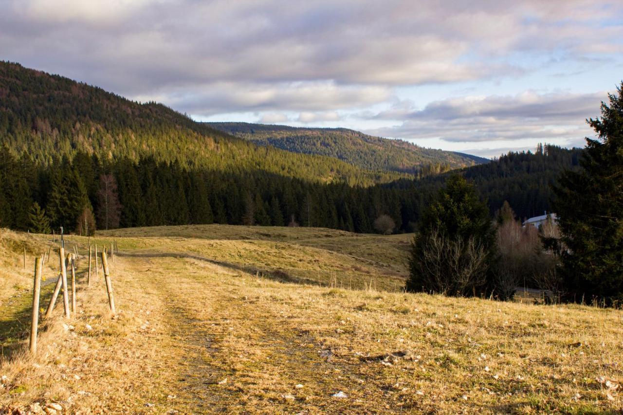 Gemuetliche Ferienwohnung - Mitten Im Schwarzwald Bernau im Schwarzwald Exteriör bild