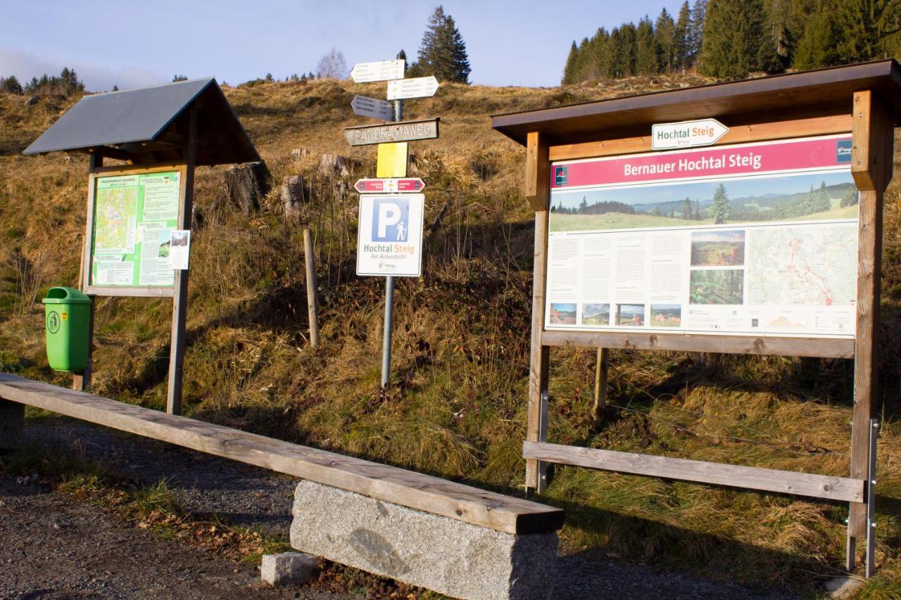 Gemuetliche Ferienwohnung - Mitten Im Schwarzwald Bernau im Schwarzwald Exteriör bild