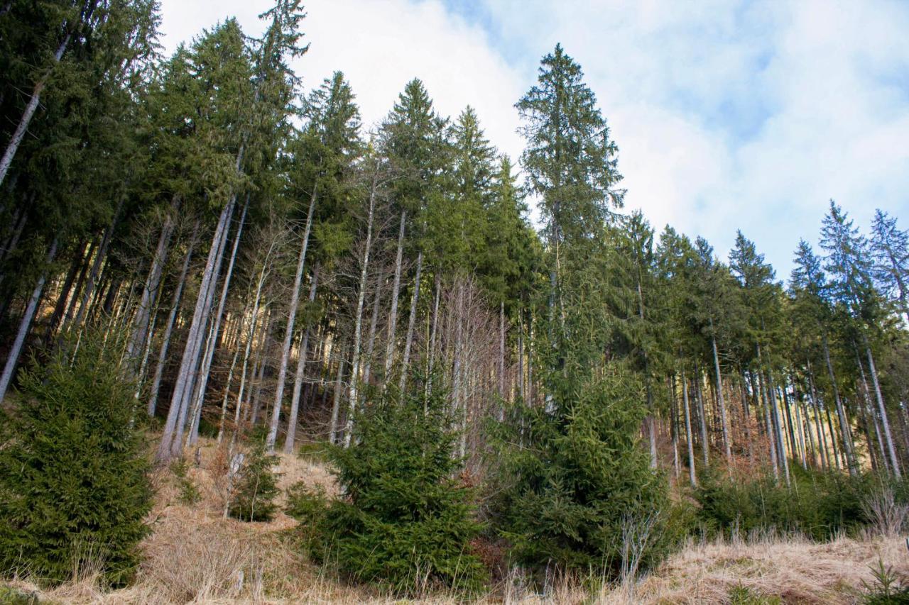 Gemuetliche Ferienwohnung - Mitten Im Schwarzwald Bernau im Schwarzwald Exteriör bild