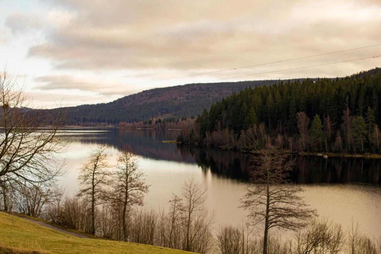 Gemuetliche Ferienwohnung - Mitten Im Schwarzwald Bernau im Schwarzwald Exteriör bild